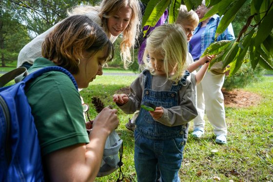 An adult showing a child a pinecone.
